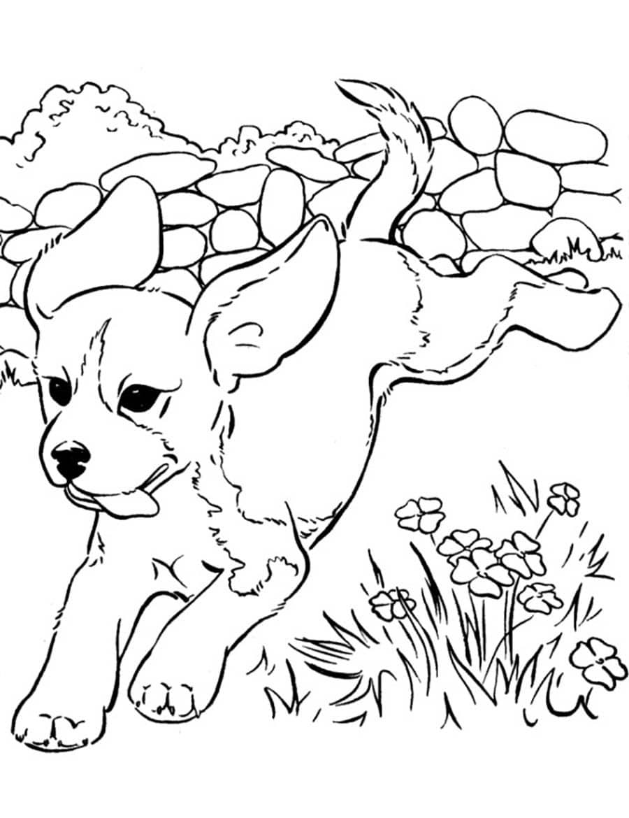 Desenho de cachorro bonito e realista para colorir