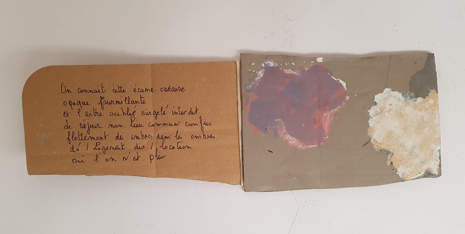 Livres d'artiste aux éditions de la canopée Livres pauvres Aux