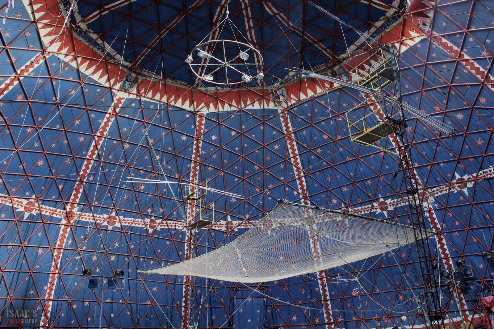 El Silencio del Abandono: El Circo de la Vida