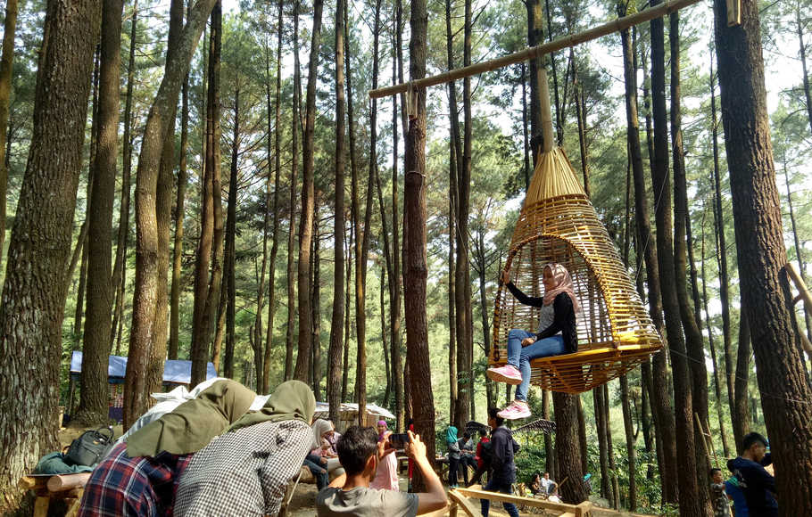 Tempat Wisata Gunung Pancar Sentul Kuy!