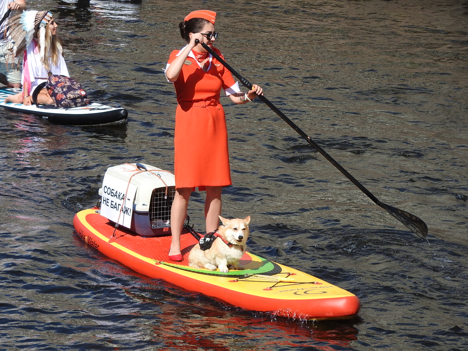 Фестиваль sup в санкт-петербурге 2023. Фонтанка сап фестиваль. Фестиваль sup в санкт-петербурге 2023. Сап фестиваль в питере. Сап фест спб.