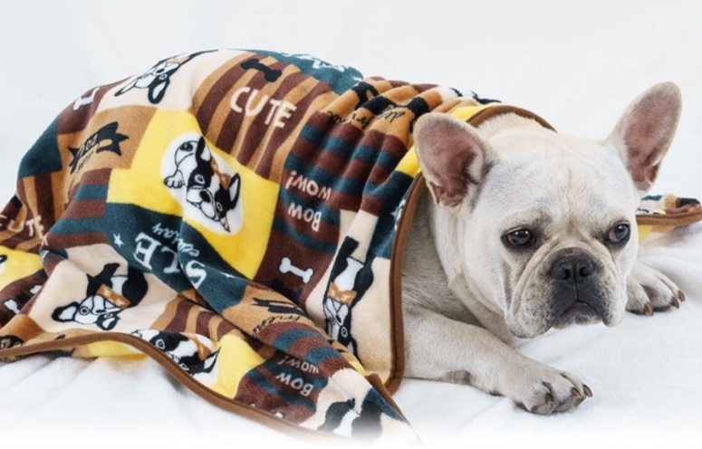 warm dog blanket