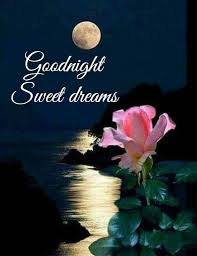 good night good night