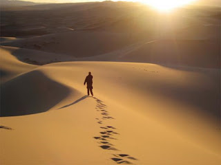 wandering alone in hot desert