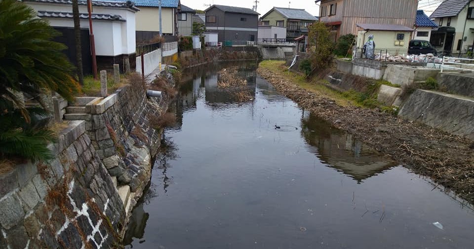 [遊記] 日本行Day2-2：海洋堂、梅花展