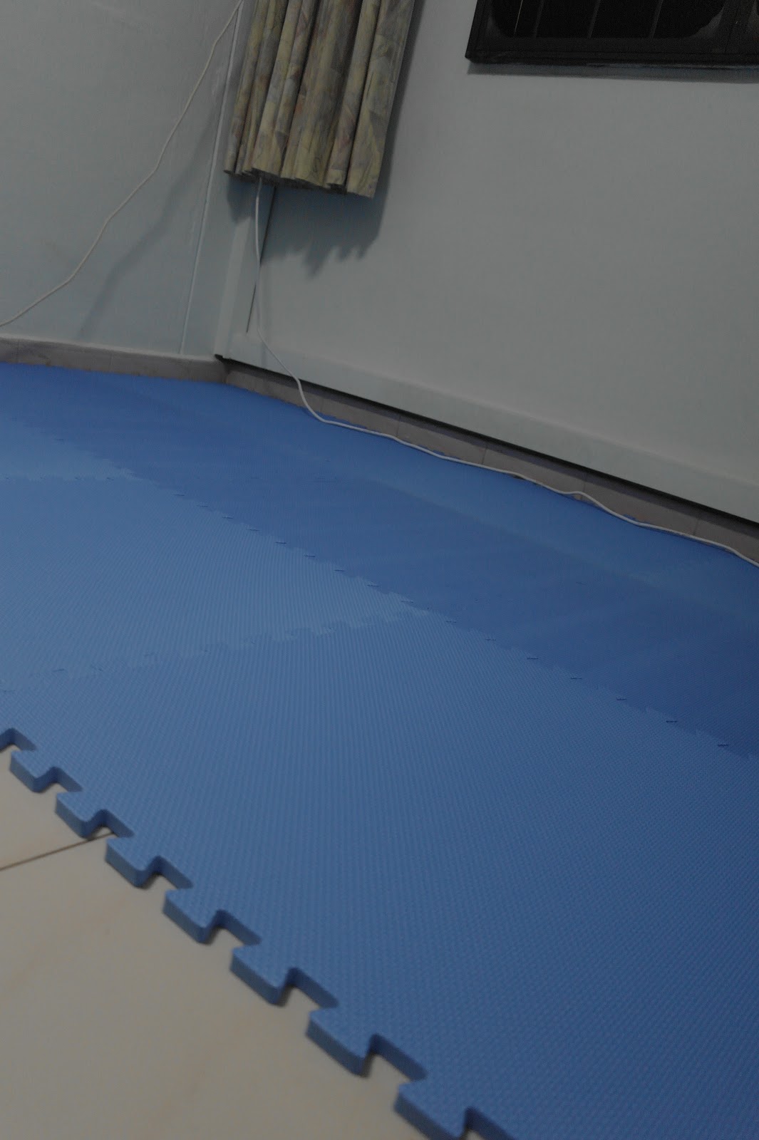 The Matching Blue Floor Mats To The Wall