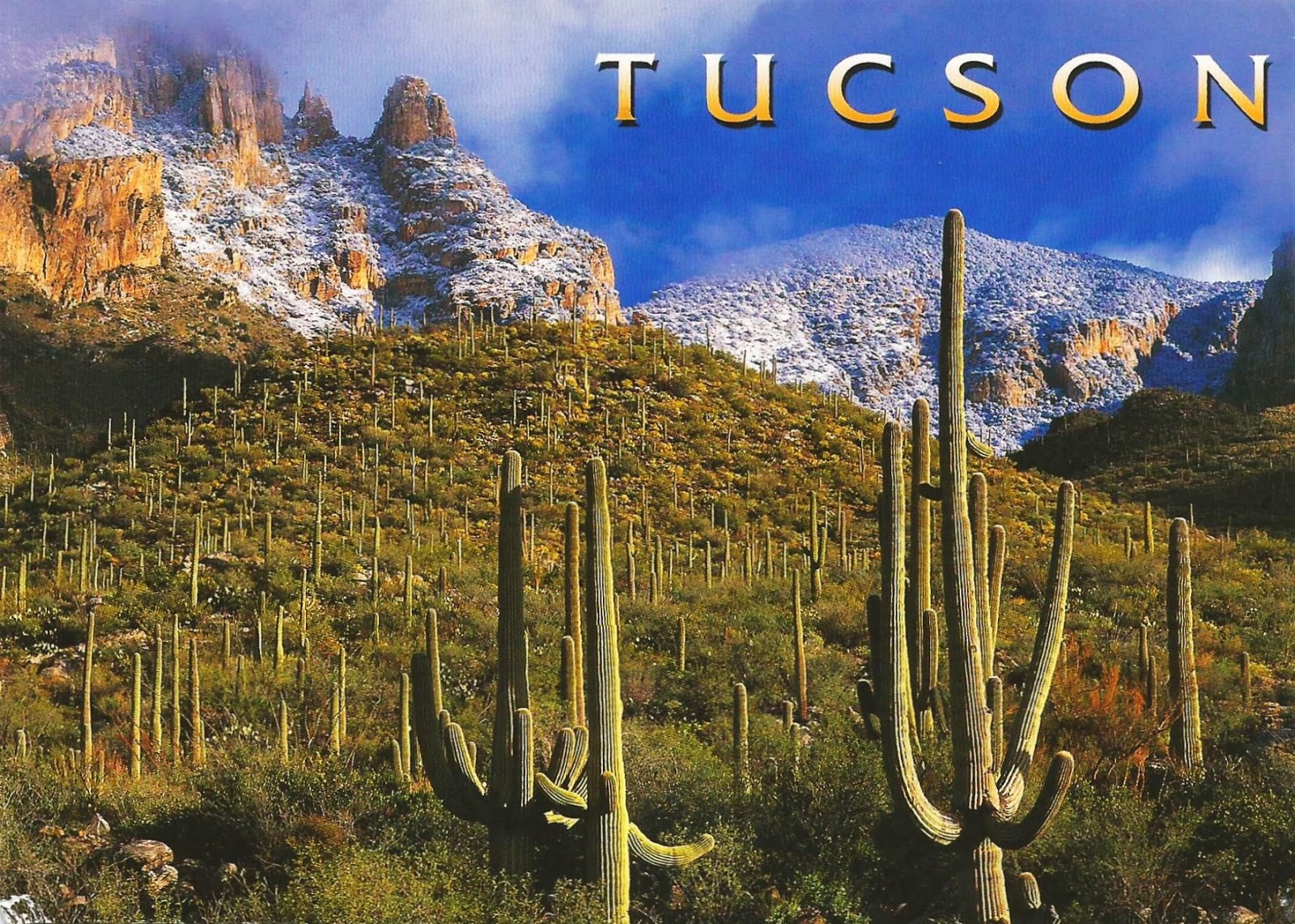 Postcards on My Wall Santa Catalina Mountains, Tucson, Arizona, USA