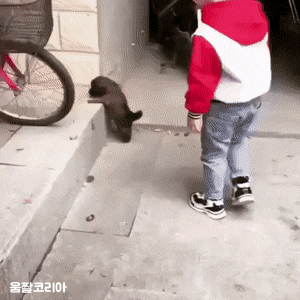 umjjal_kr_201.gif
