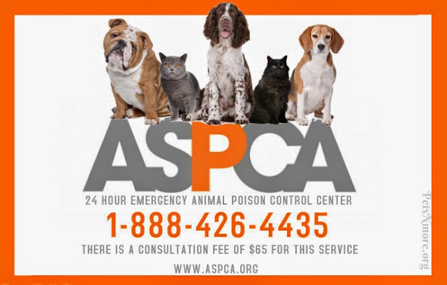 Pets N More: POISON HOTLINES