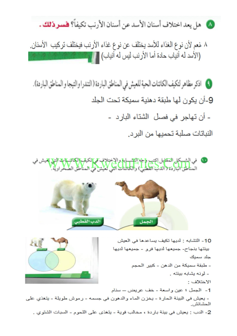 other places expect it nebu تقرير عن التكيف onoyelken com
