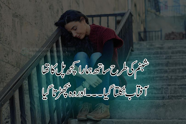 heart-touching-goodbye-shayari-in-hindi