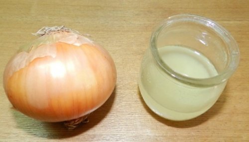 L'ail et l'oignon L'ail et l'oignon