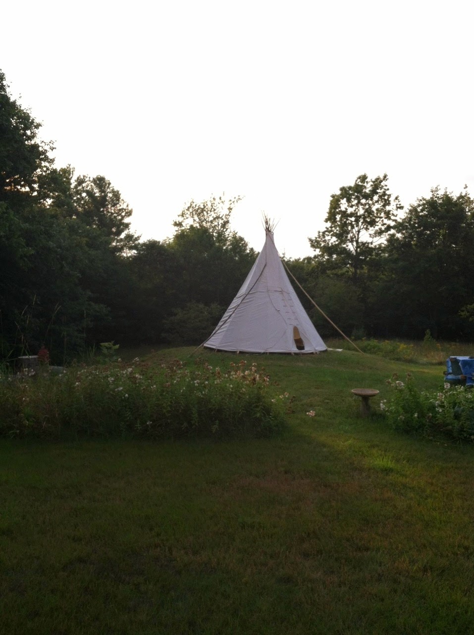 OPAL North East Region Interface