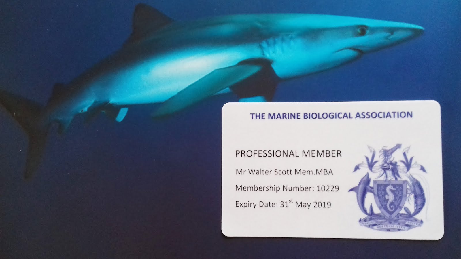 Professional Member of the Marine Biological Association