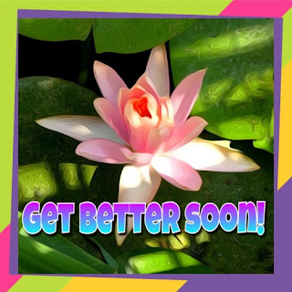 Get better soon- Water lily