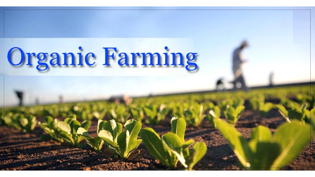 research on organic farming