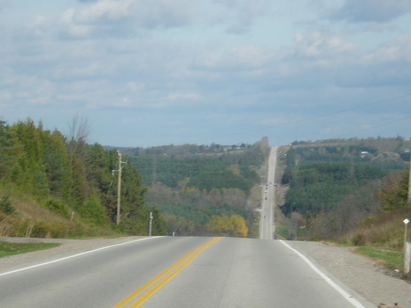Jenny's Food Ink FOODSTOCK