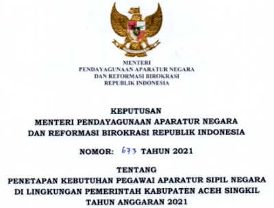 Formasi Cpns Kabupaten Aceh Singkil 2021 Info Cpns 2021