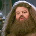12 érdekesség a Roxfort háztájőrzőjéről, Rubeus Hagridról