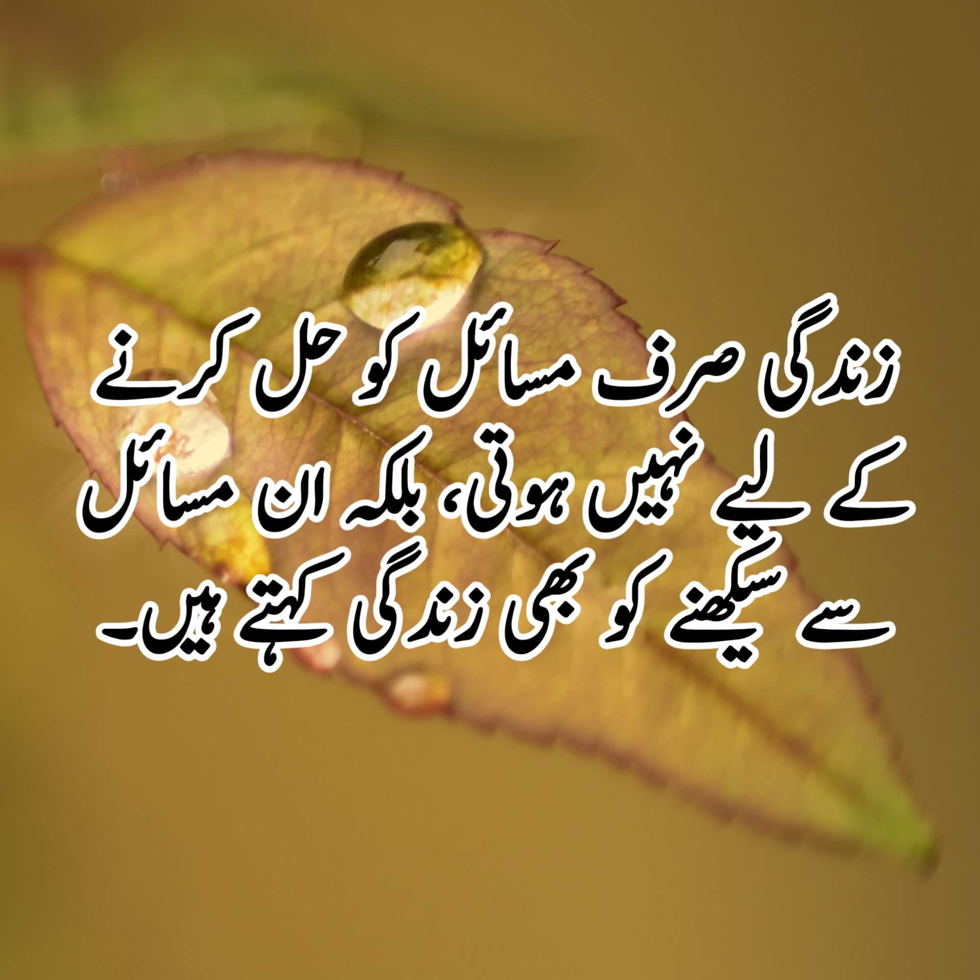 Featured image of post Positive Thinking Quotes For Whatsapp Dp In Urdu / 💖 dp for whatsapp 💖.