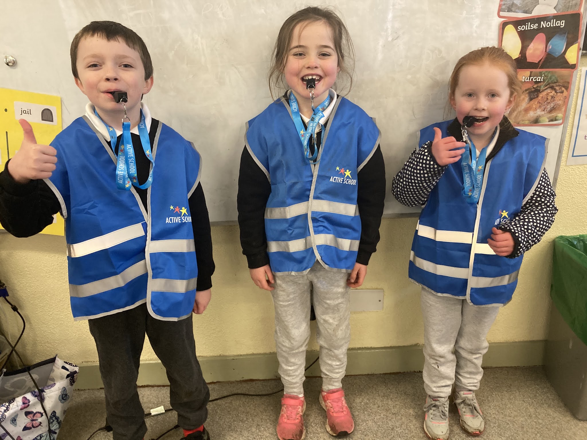 St. Mary's N.S. Clogheen Active Schools Flag