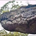 Giant Snake Scale Stone Found In Naka Cave Thailand