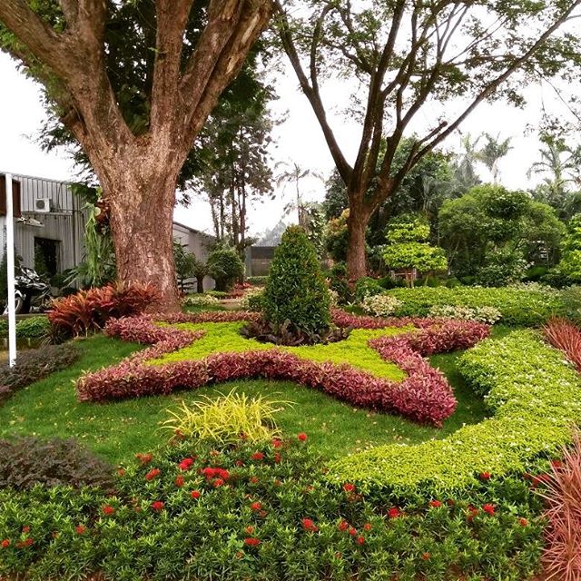 Pembibitan Tanaman Hias, Penyuplaian Tanaman, dan Pembuatan Lanskap