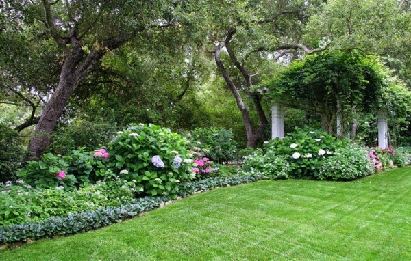 Ideas for garden design for beginner