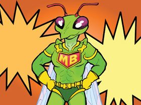 Center for Puppetry and Arts: The Adventure of Mighty Bug - Seeing It ...