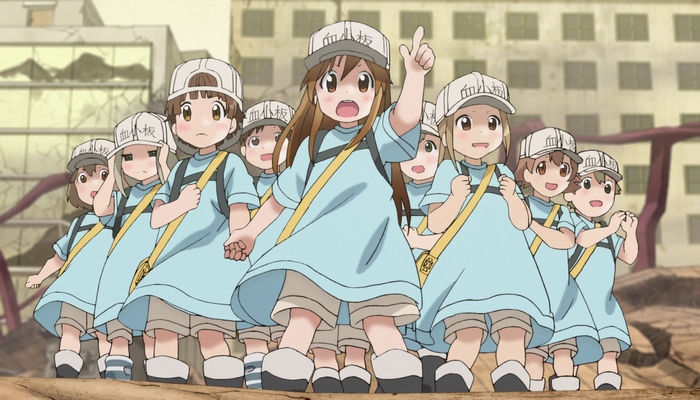 Motivos Tebane - 4 Motivos para assistir Hataraku Saibou - Animes Tebane