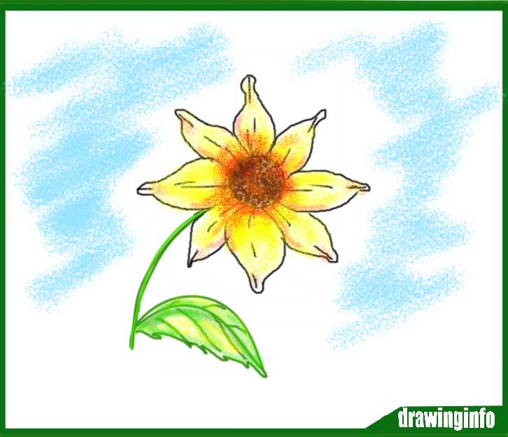 Featured image of post Sun Flower Drawing Images / Download sunflower drawing stock photos.