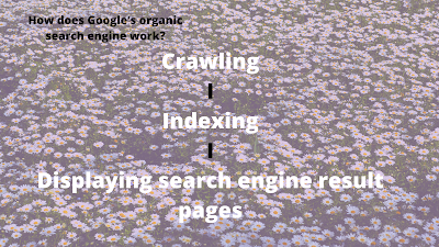 What is organic Google Search?