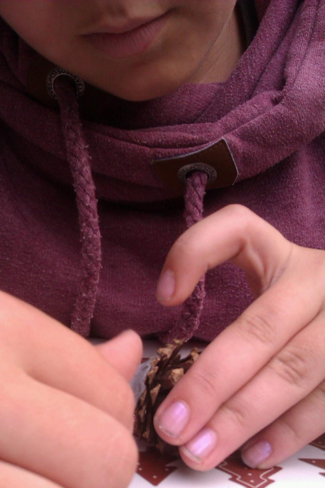 Frau Frieda Tannenzapfen Igel