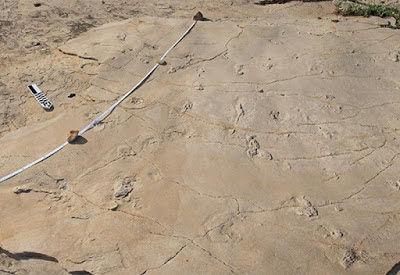 Άγνωστοι αφαίρεσαν απολιθωμένα ίχνη στον Κίσσαμο  