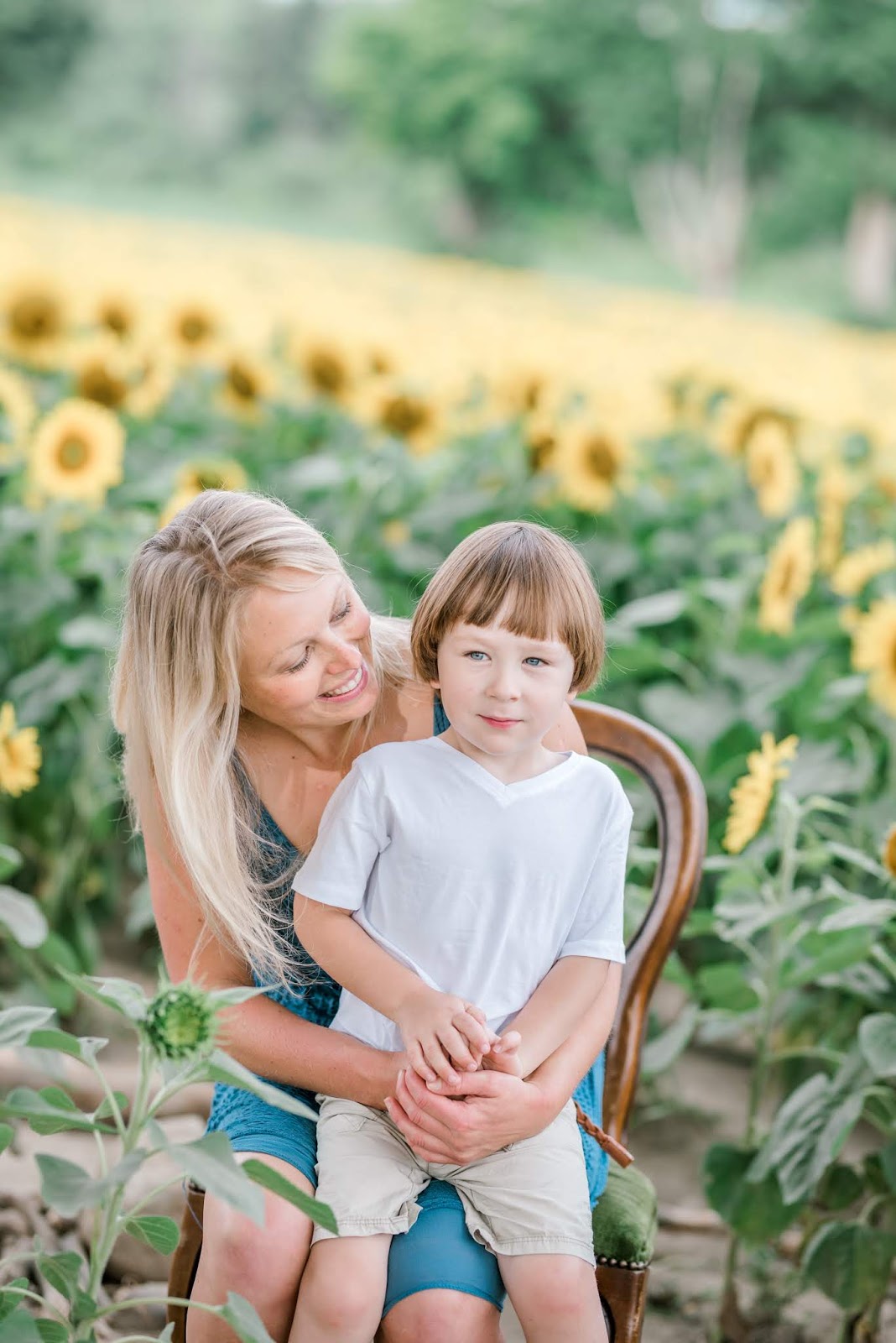 sunflower mini sessions in caledon 2019 | The Final Touch Photography ...