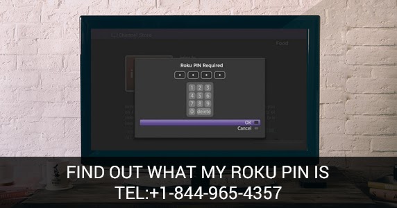 To understand what a Roku Pin is and how a user can find it?