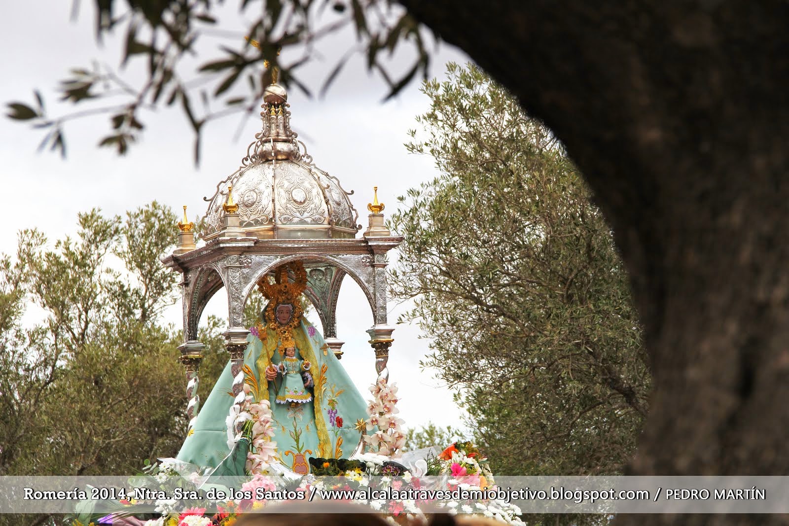 ROMERÍA 2014 - NTRA. SRA. DE LOS SANTOS