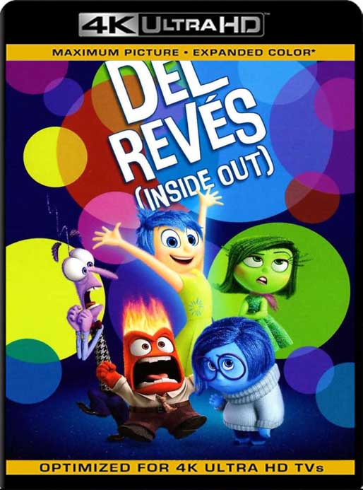 Intensa Mente (2015) 4K 2160p UHD [HDR] Latino [GoogleDrive]