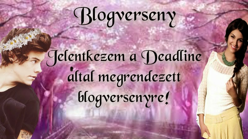 Blogverseny