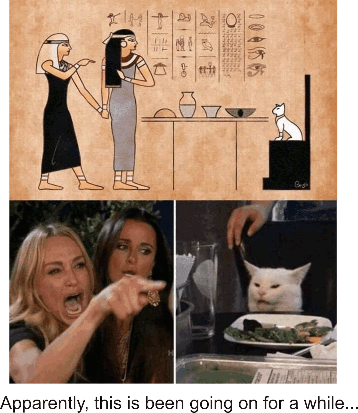 Мем с котом и женщиной. Мемы с котом за столом. Мемы с женщиной и котом за столом. Девушки орут на кота. Мем с котом и девушками.