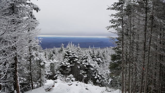 Point de vue lors de la montée vers le sommet Johannsen