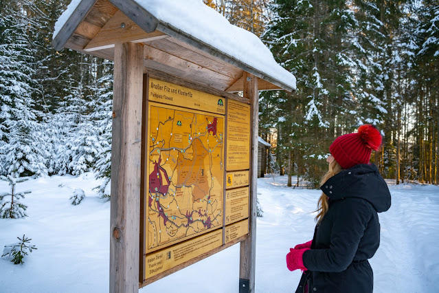 Rundweg Kreuzotter | Hochmoor Filzwald / Kloster Filz | Nationalpark Bayerischer Wald 02