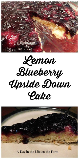 A Day in the Life on the Farm: Lemon Blueberry Upside Down Cake and a ...