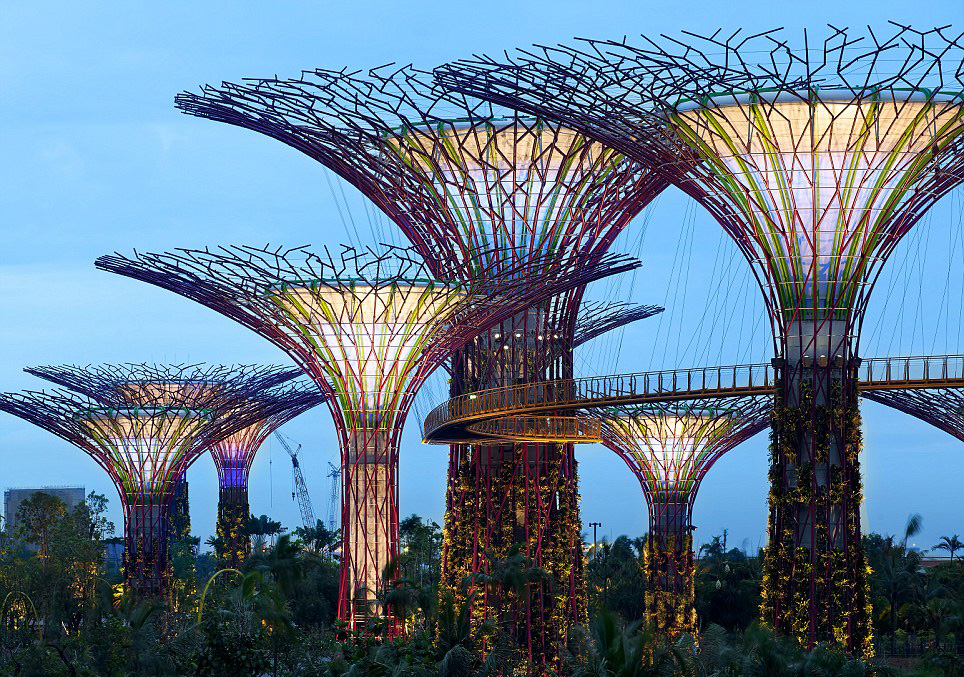 mx-design-studio: Supertrees Singapore