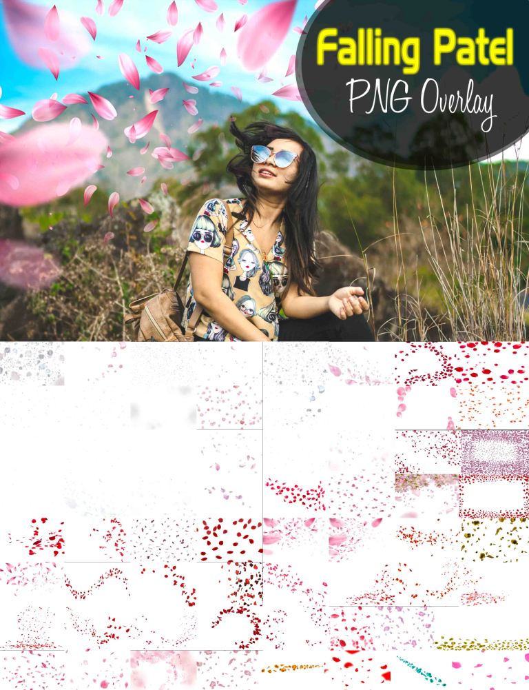Rose Falling patel rose falling png, falling flowers png hd, rose petals png, falling petals gif transparent,