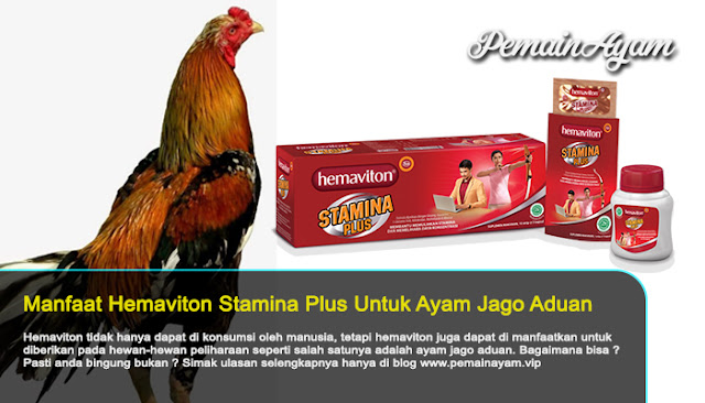 Kegunaan Hemaviton Stamina Plus Buat Ayam Bangkok Aduan
