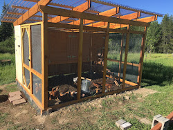 coop around ox clumsy attempts landscaping haven been