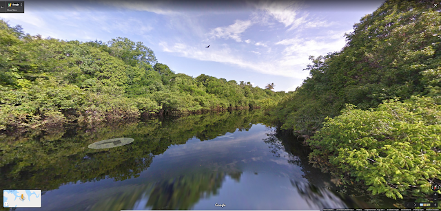 Street View Screenshot vom Amazonas