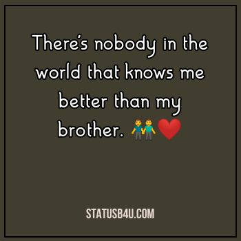250+ Brother Status, Quotes & Captions >> Best Brother Love Status