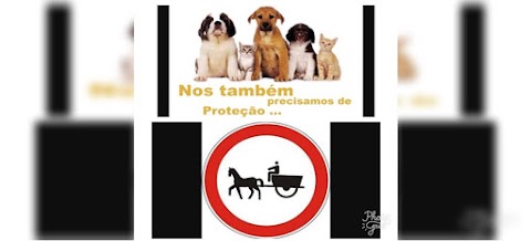 Projetos de Lei para proteção dos animais e disciplinamento dos veículos de tração animal - VTA